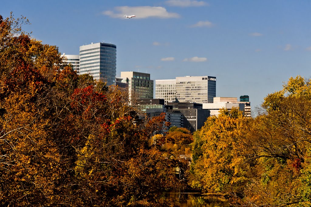 Potomac River Inlet Behind Columbia Island Looking North, Arlington VA by Hillel Steinberg