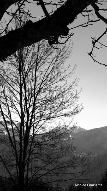 Garfagnana - Parco Orecchiella - Alpi Apuane by Aldo de Grazia