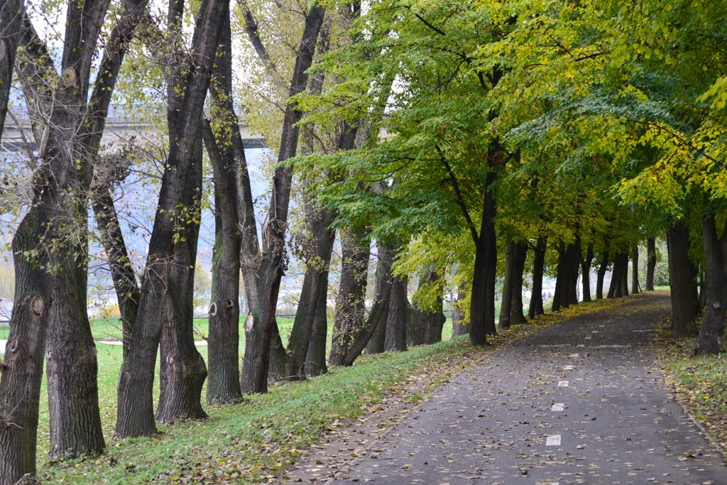 Walk in the park by Pitrson