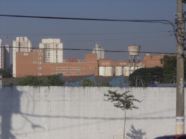 Vista A Partir da Avenida Torres de Oliveira by Moe de Jong