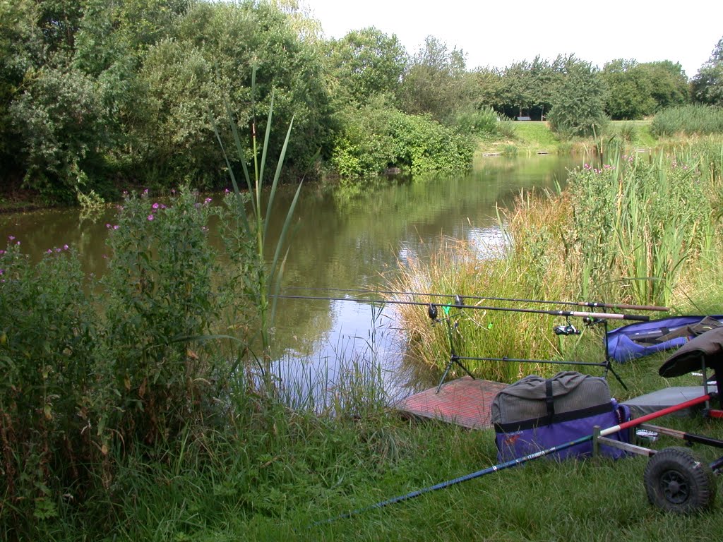 South Eastern Corner of Pond by Madcaravanner