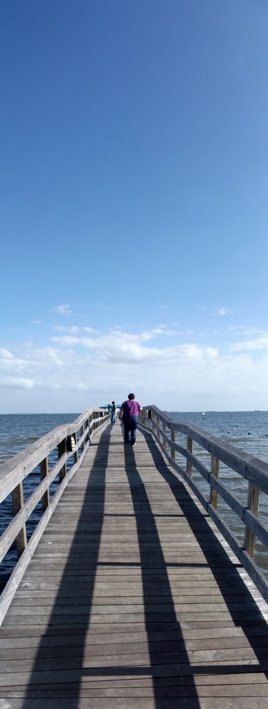 Pinellas County, FL, USA by Stu DeVette