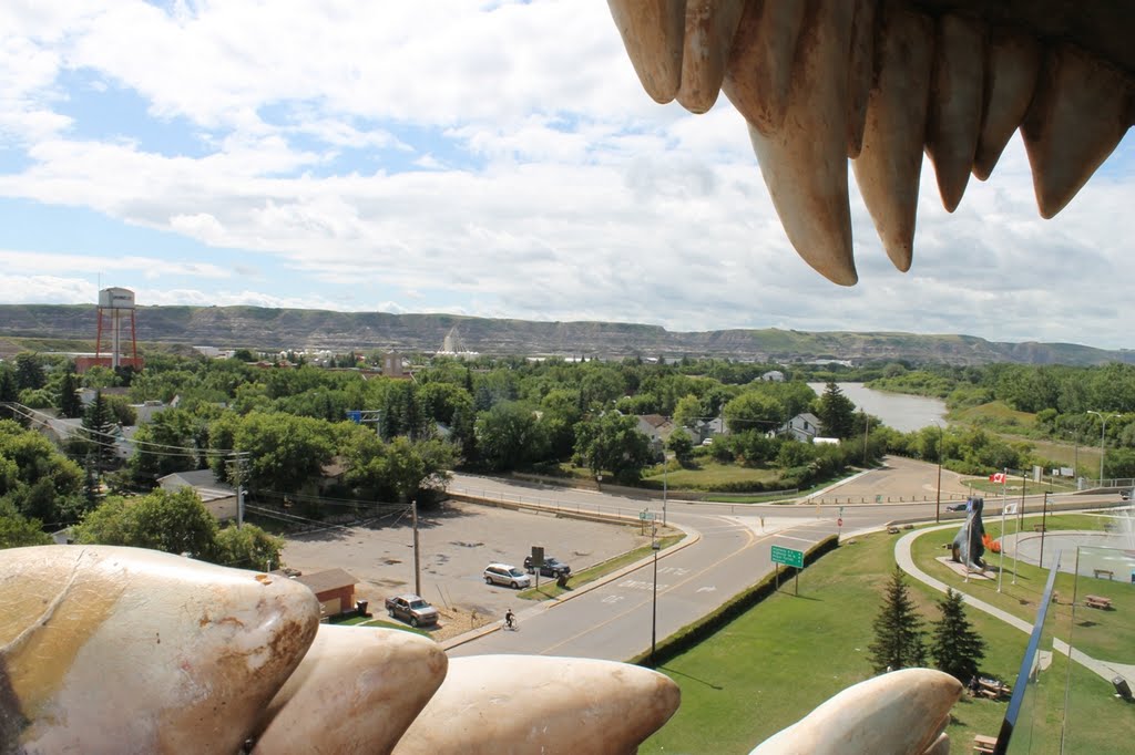 View from the Mouth of the Worlds Largest Dinosaur by Amandyg