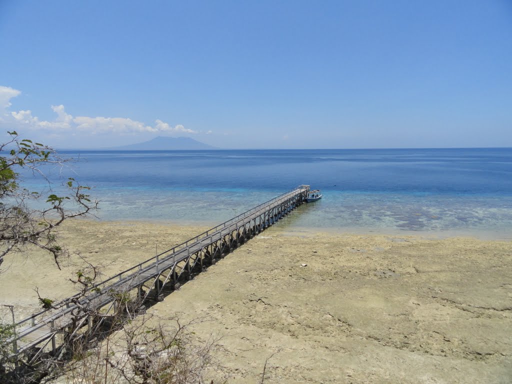 Ile de Pura Menjangan by david cayrouse