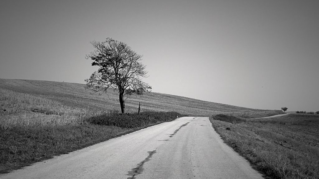 Road into the unknown by Zuzana55