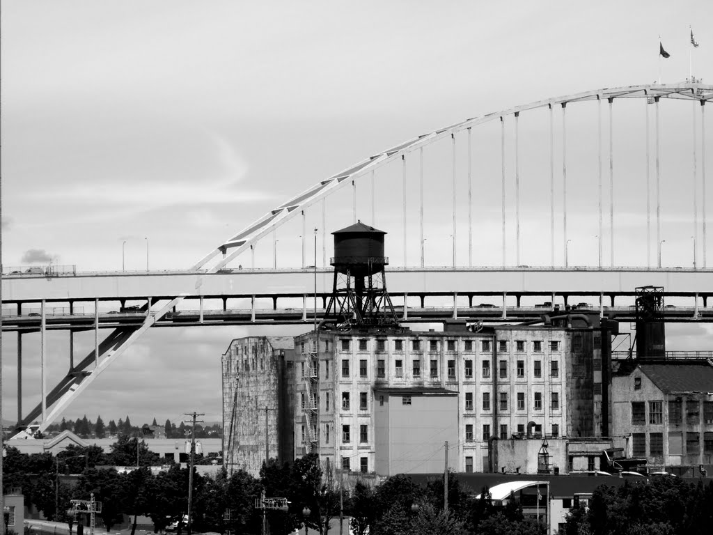 Fremont Bridge from Broadway Bridge by Miguel Santamaria