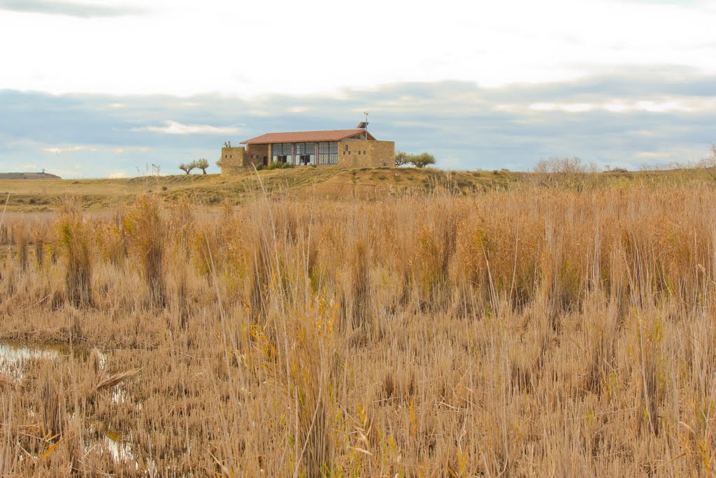 Centro de interpretación y observatorio de aves, de la laguna de Pitillas. by Maximo Manso