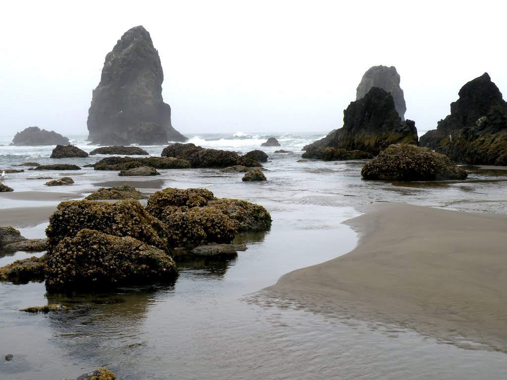 Cannon Beach by Miguel Santamaria