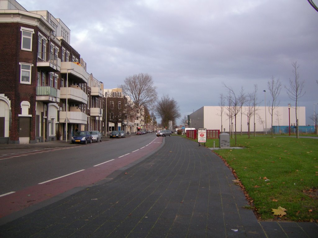 Tolhuislaan - Katendrecht - Rotterdam - Holland by Leo Roubos