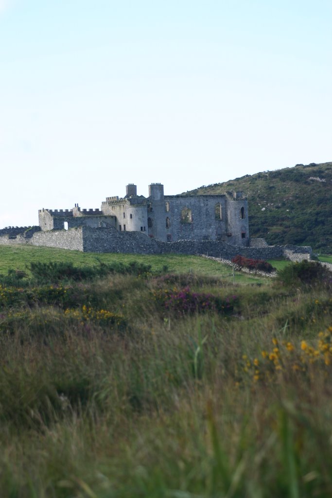 Bunowen Castle, Ballyconneely, Connemara, Ireland by Hans Sterkendries