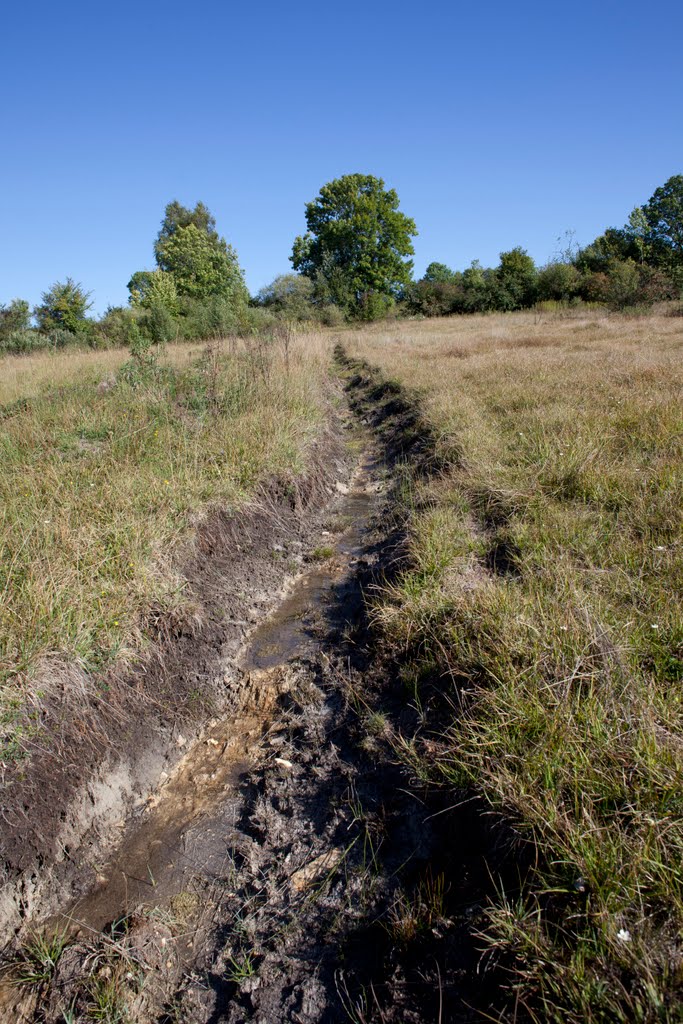 Quand des gens mal intentionnés drainent un des marais les plus riches du Bugey by Mickael Dole