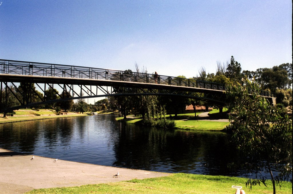 Adelaide, Torrens river by Spinella Paul