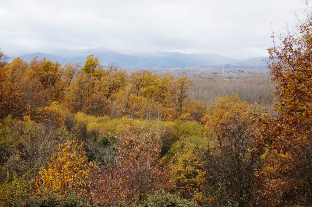 Paseando por el Pajariel en otoño. by Ruben García