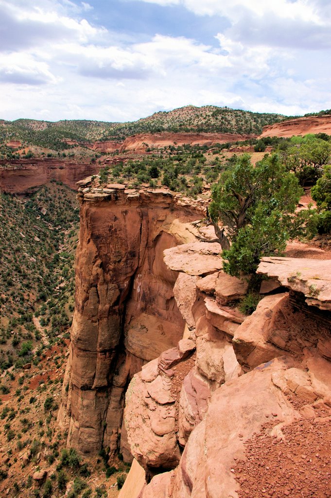 Colorado NM: Rim Rock Trail by Peter Glasmacher