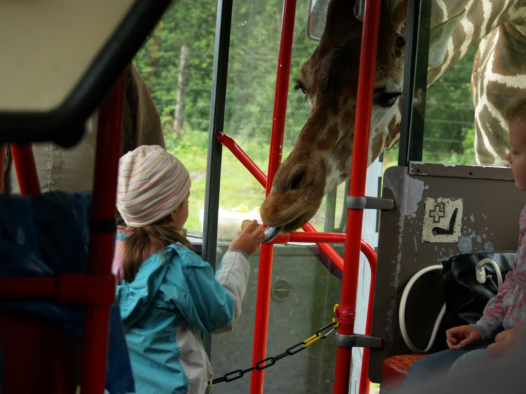 Serengeti-Park Hodenhagen by Doutaz Yves