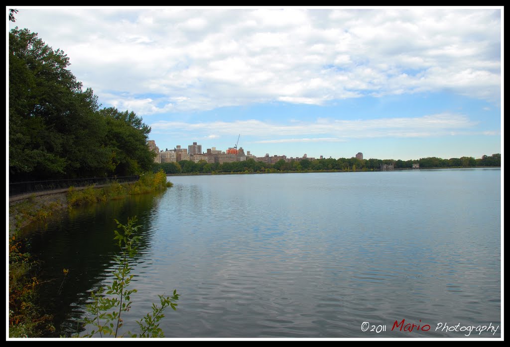 Central park, New York City by Mario Kaupe