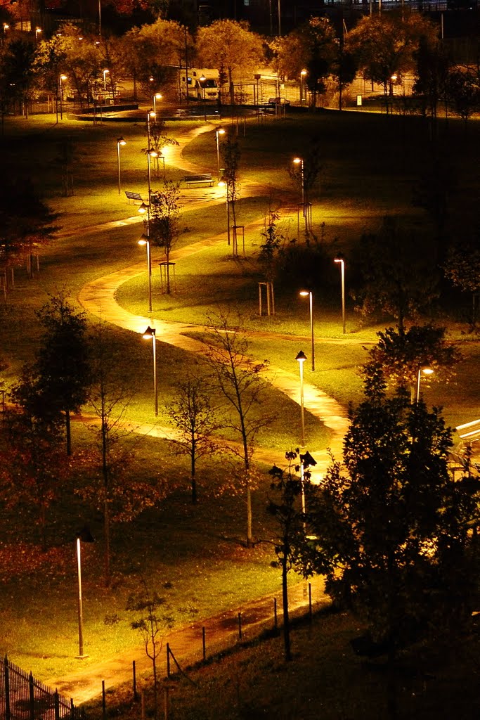 Di notte nel parco by valerius minno