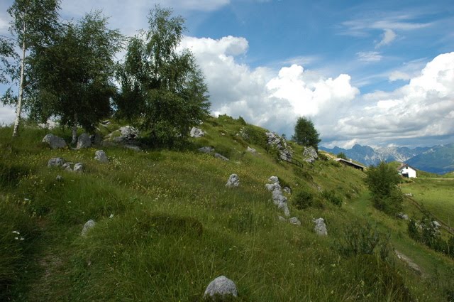 Giardino botanico delle Alpi orientali - Nèvegal by aldo de bastiani