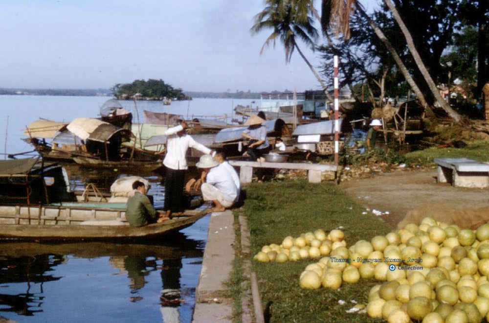 Bưởi Biên Hòa - Biên Hòa 1965 - Photo by Peter Seaward by Thắng ARCH “OV-10 Br…