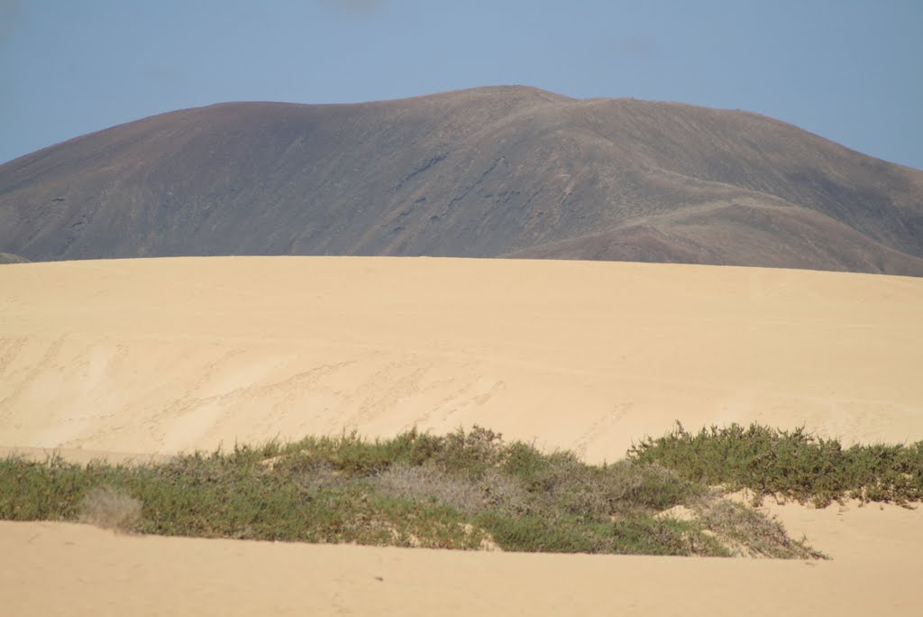 DUNAS DE CORRALEJO by ENIBE