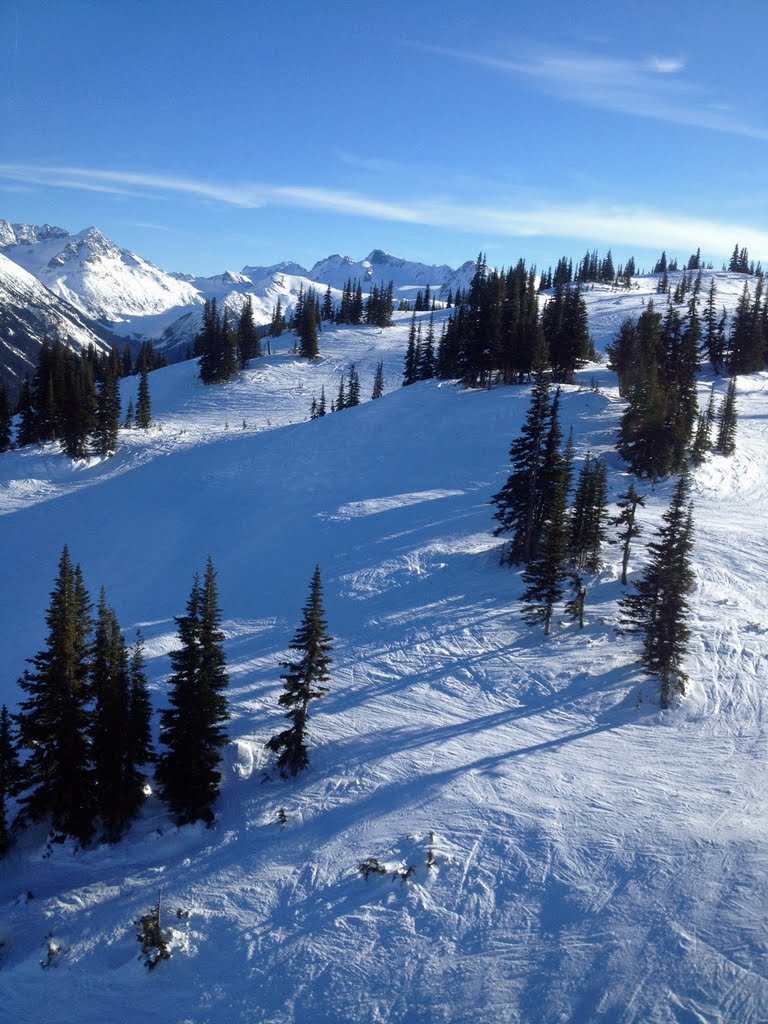 Ski slopes at Blackcomb Mountain by Colin W