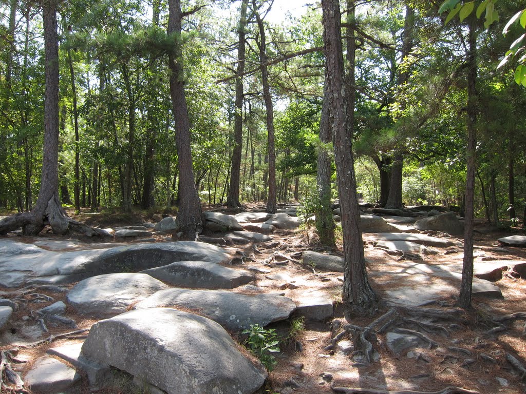 Stone Mountain Park Walk-Up Trail by bryanf