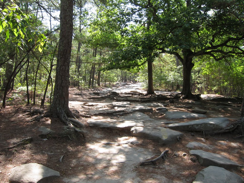 Stone Mountain Park Walk-Up Trail by bryanf