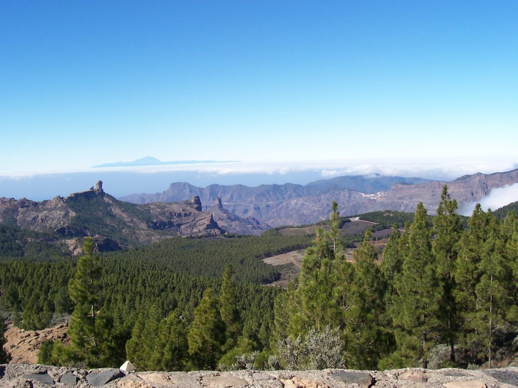 071205 Cumbre-Pico de las Nieves1 by Tartanero O