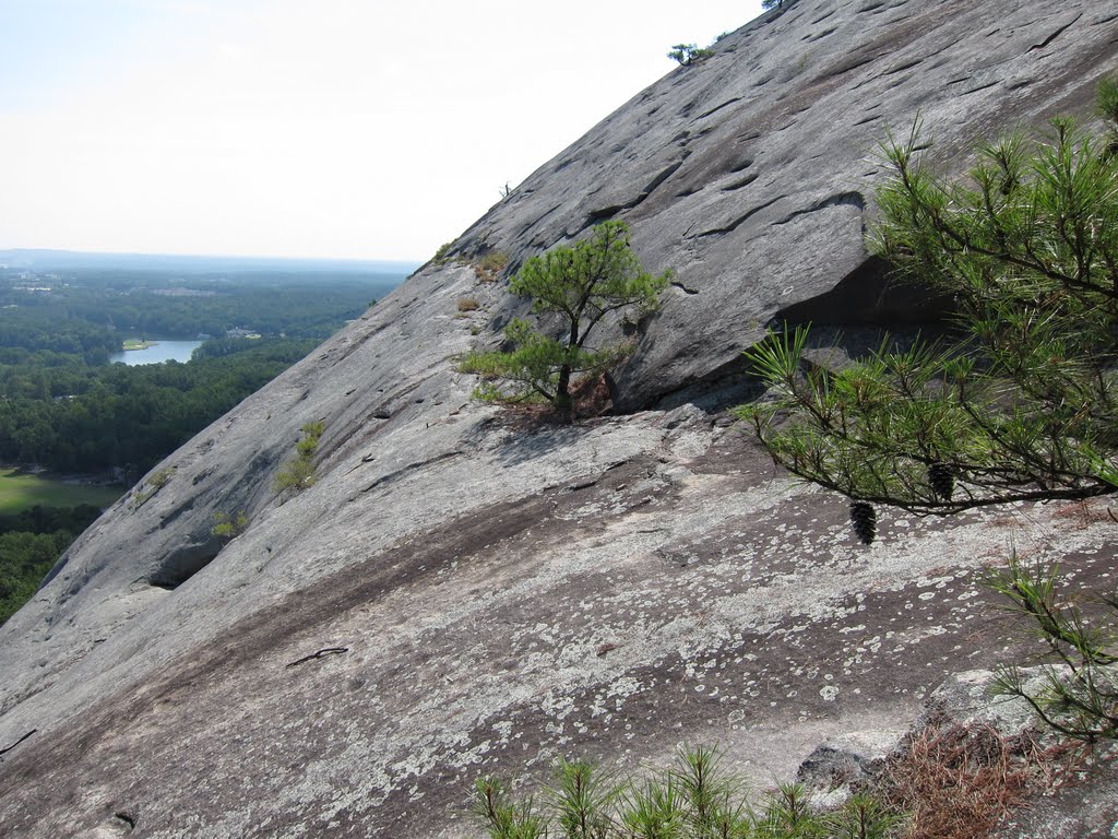 Stone Mountain Park Weldon Wright's Trail by bryanf