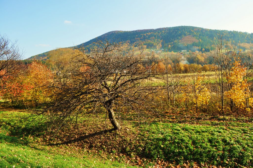 Porabka...Bukowiec by Beata Tobijasiewicz