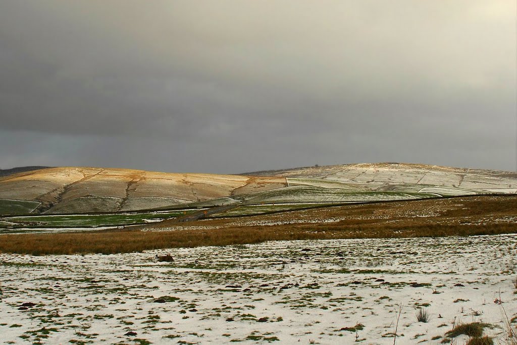 A sprinkling of snow by David Humphreys