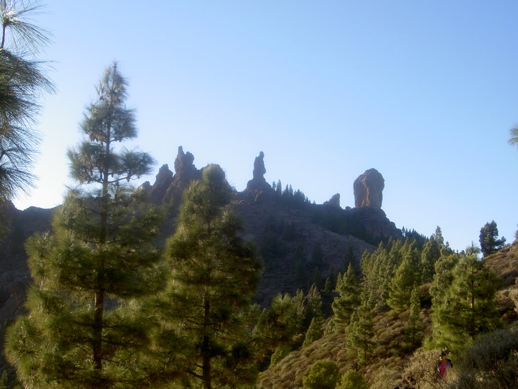 Camino del Roque Nublo, Tejeda. Las Palmas de Gran Canaria, España. ( Estepa 32). by Estepa32