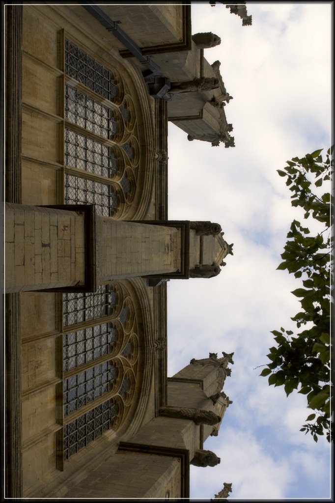 BE: looking up Ely Cathedral by PigleT