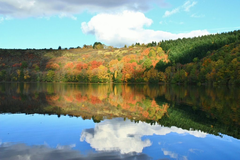 Gour de Tazenat by michel p