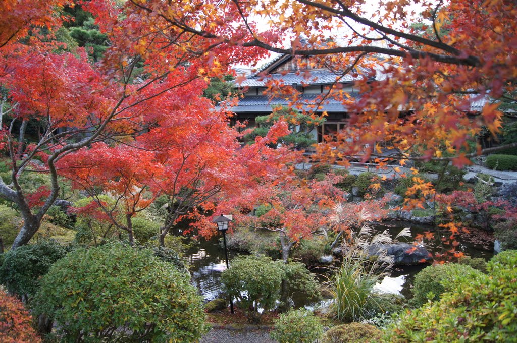 奈良公園　Nara‐kouen　park 吉城園　Yoshiki-en 2011.12.04. by しみず出張鍼灸指圧マッサージ