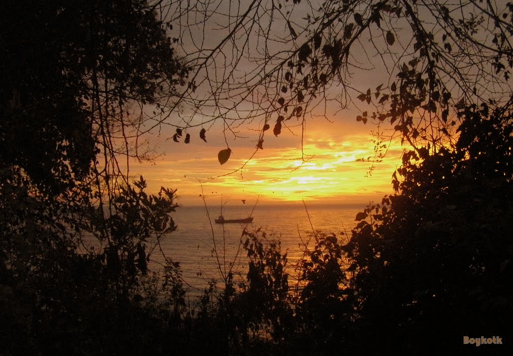 BUL - Black Sea - ...waiting оn the roadstead to Port Varna by Boyko TK