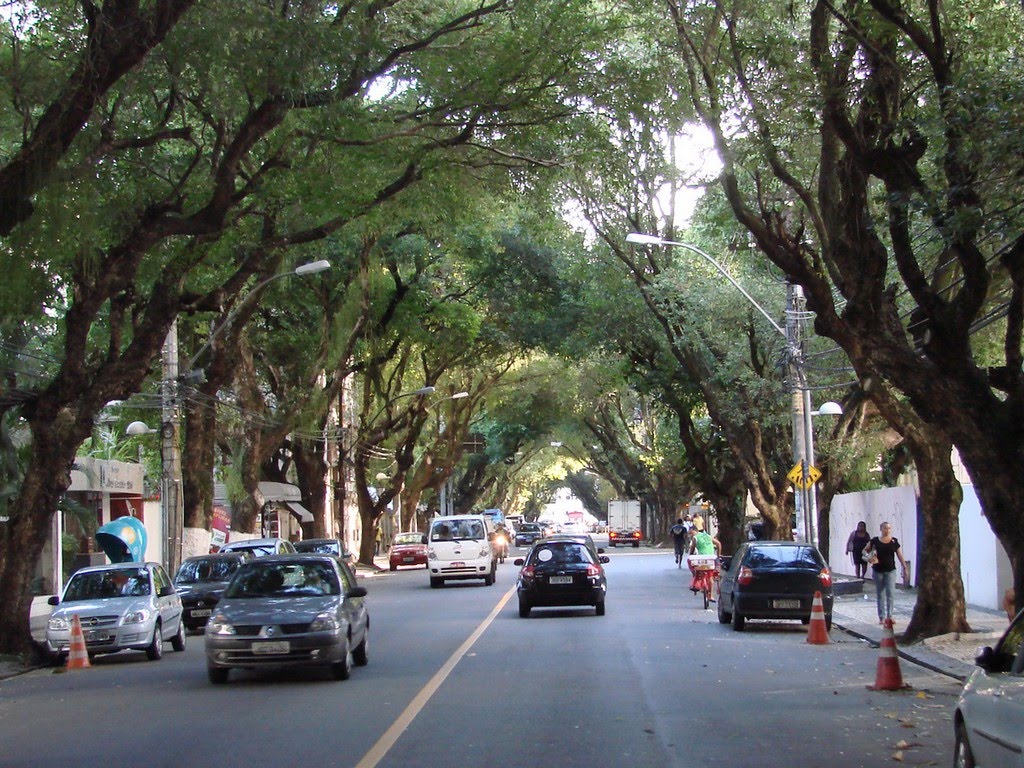 Corredor da Vitória, Av. 7 de setembro, Salvador-BA by Chrystyan Dresley (F…