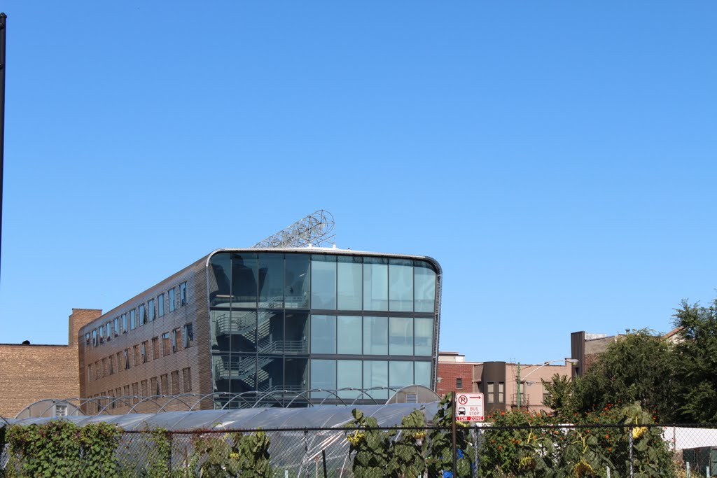 Building near City Farm in Old Cabrini Green by epodewell