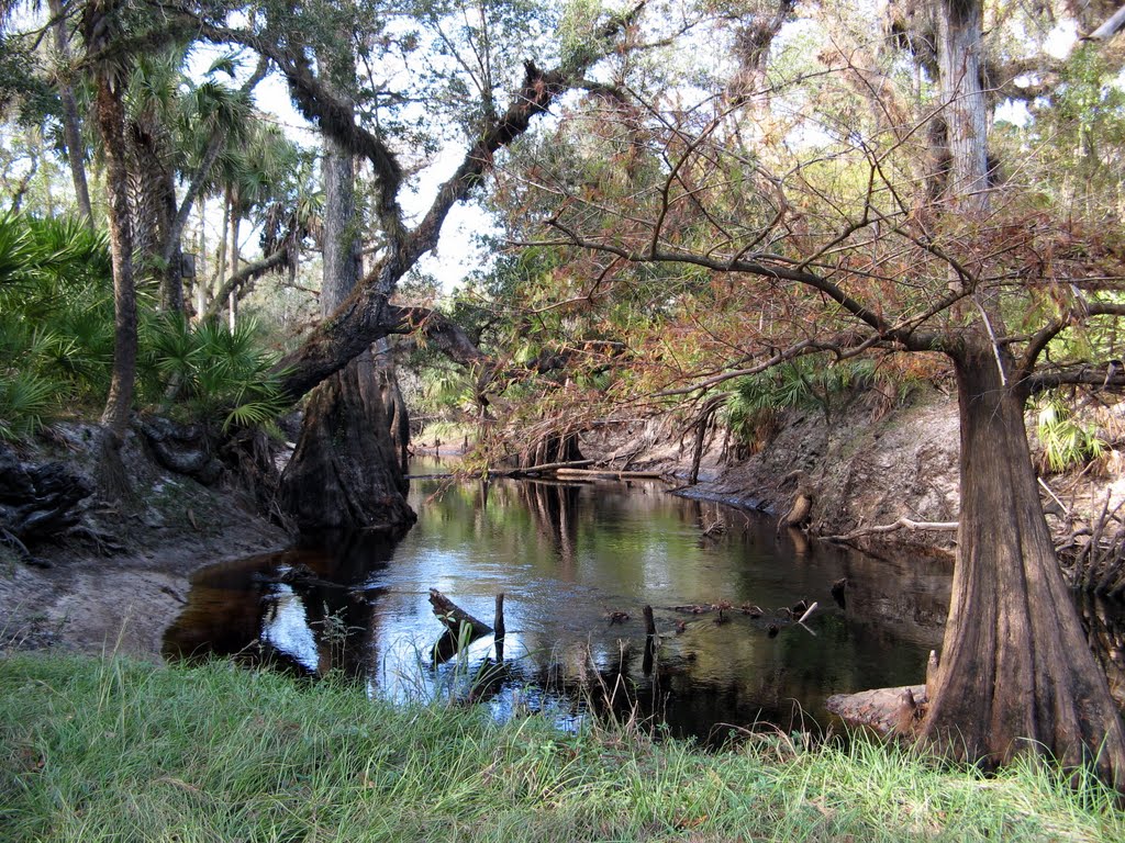 Little Econ River by Robert Borgon