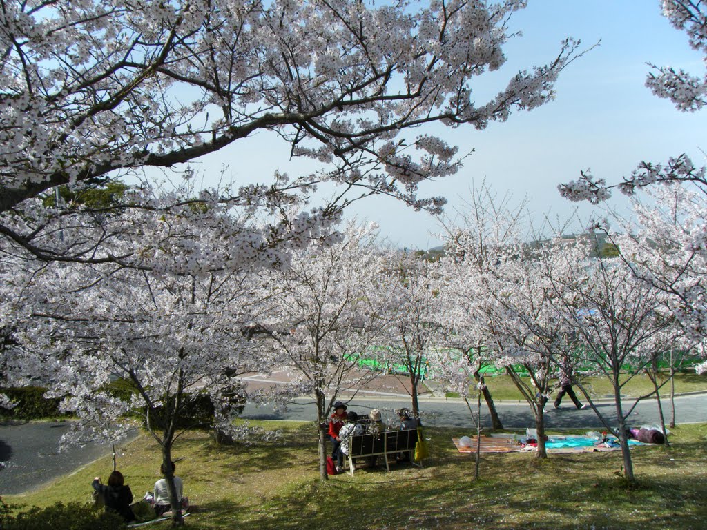 ときわ公園　Tokiwa Park by 伊部リコ