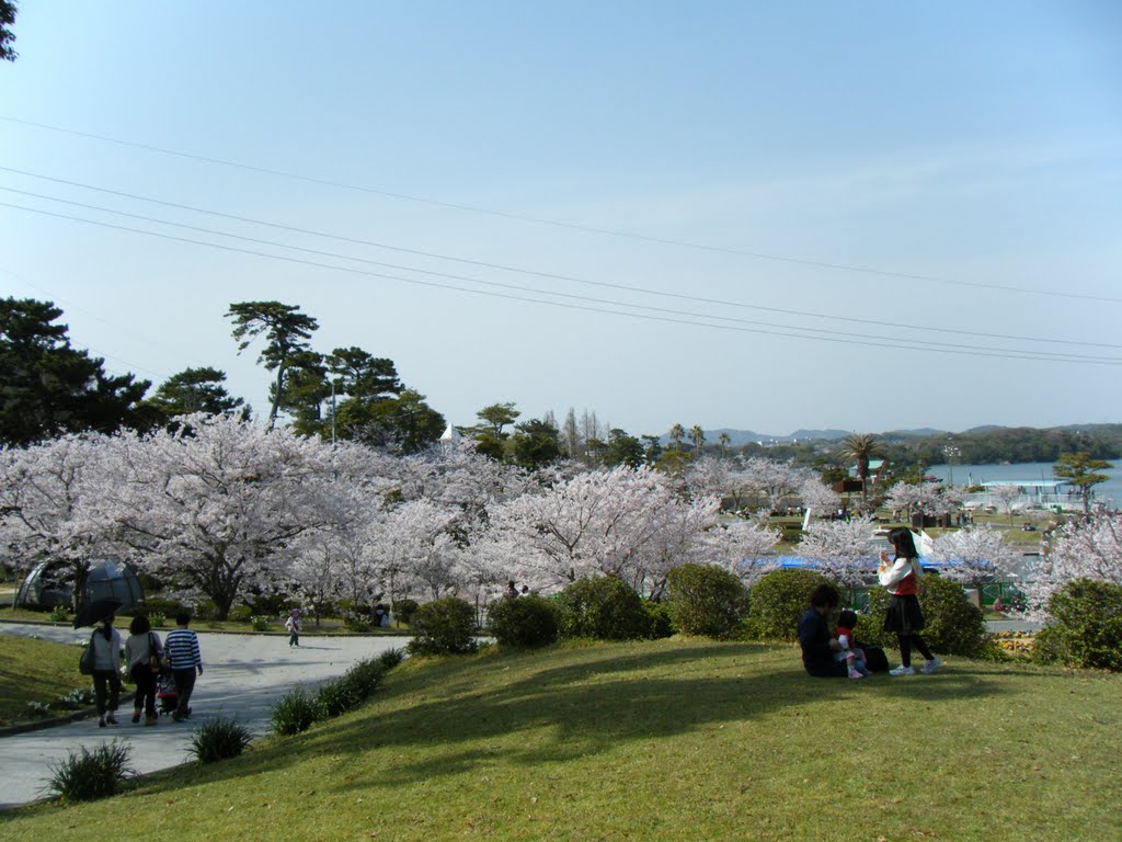 ときわ公園　Tokiwa Park by 伊部リコ