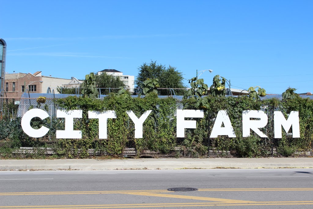 City Farm on Division Street by epodewell