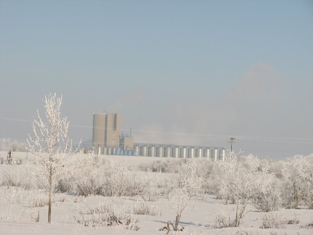 Rahr Malting Company by Amandyg