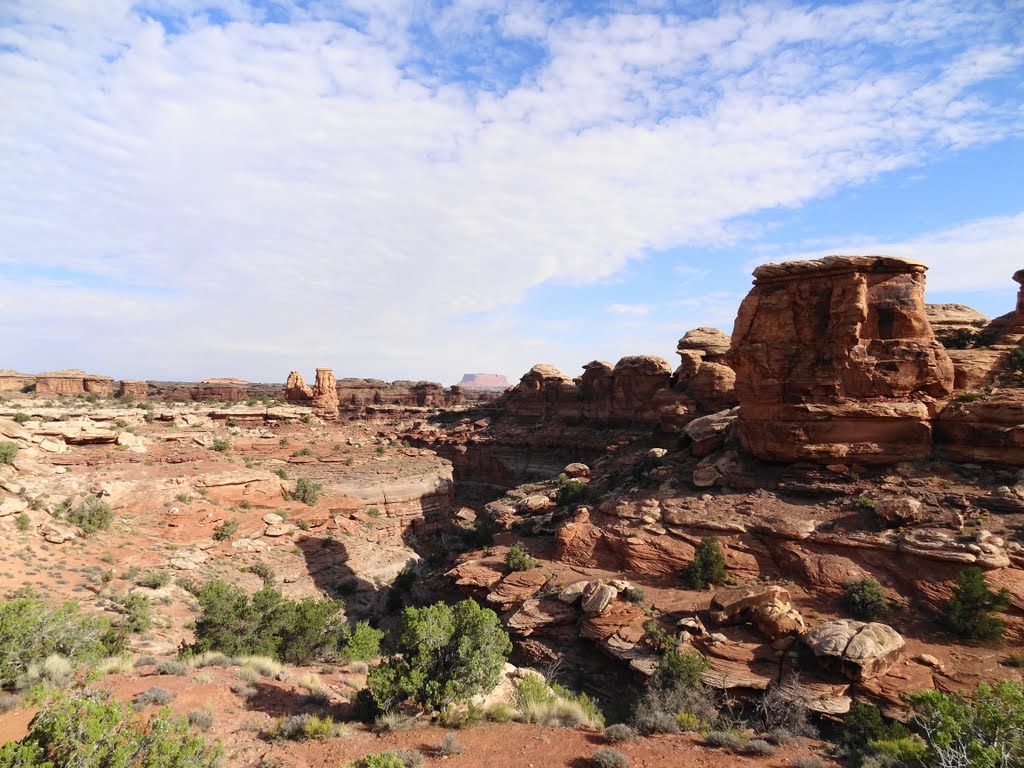 Needles District, Canyonlands NP by McSky