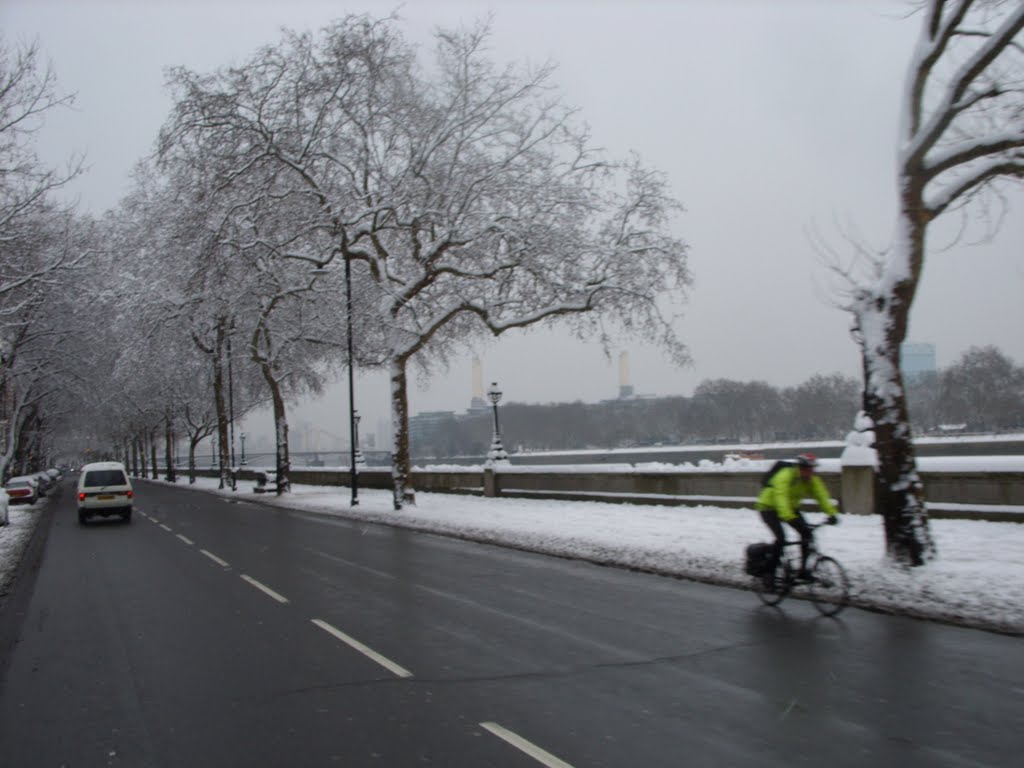 Banks of Thames river by Thomas.j.p