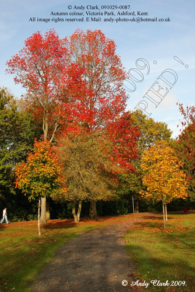 Autumn Leaves, Victoria Park. by Andy Clark