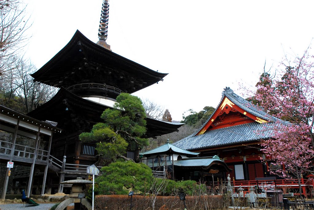 雨引山 楽法寺 by CamperTrip