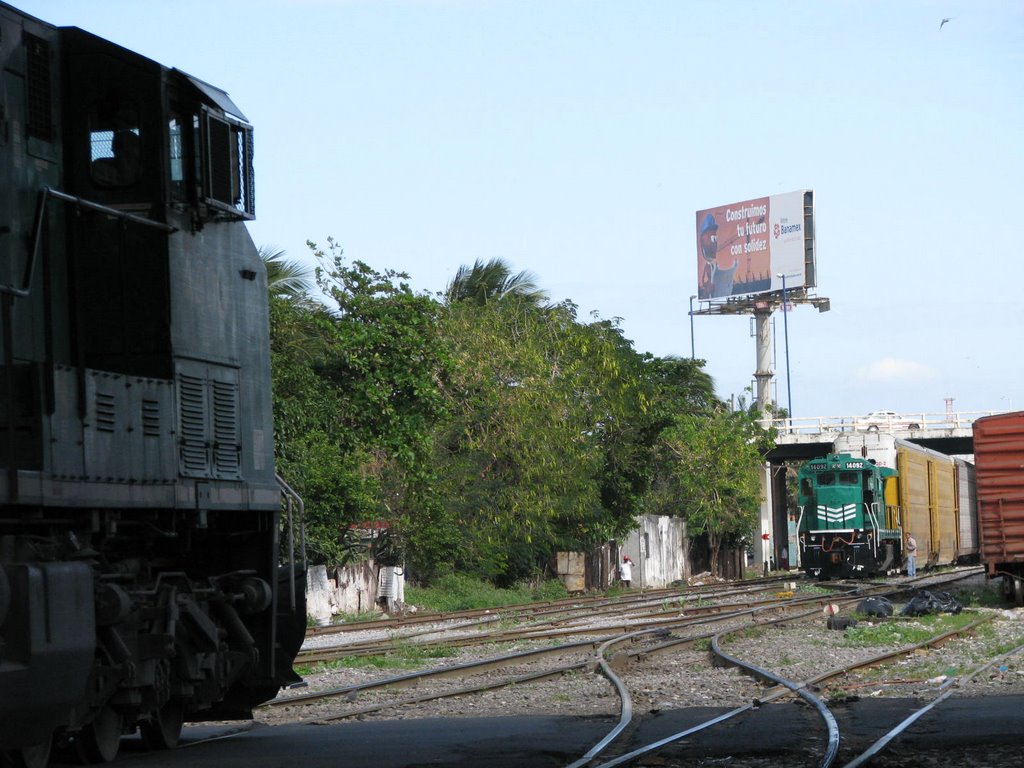 Cruce de Trenes by arl3tt3