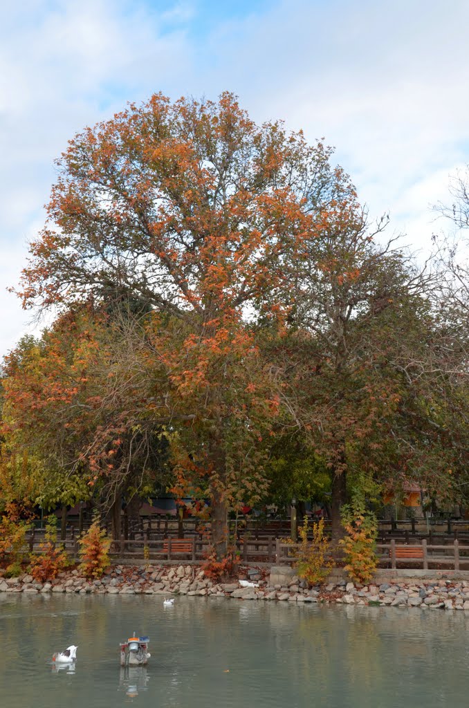 Serchinar area for tourism - Sulaymaniyah ... 19/11/2011 المنطقة السياحية في سرجينار -السليمانية ... By FO by Faris Al Orfali