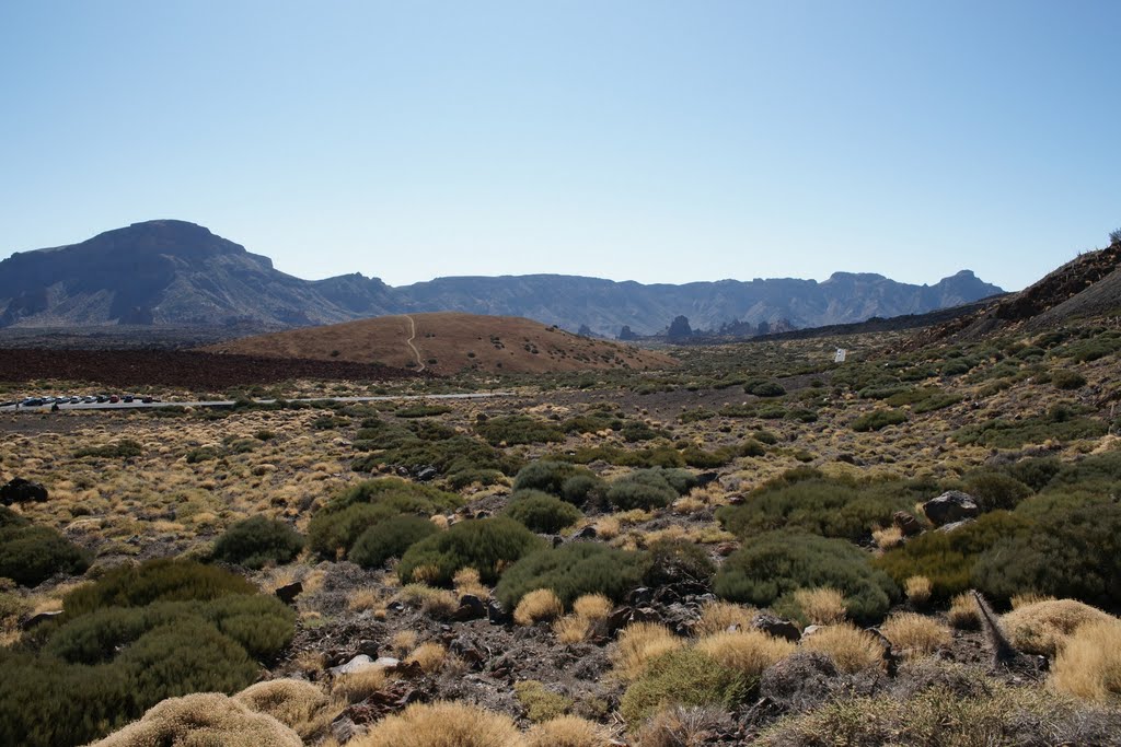 Parque Nacional Del Teide by njellis